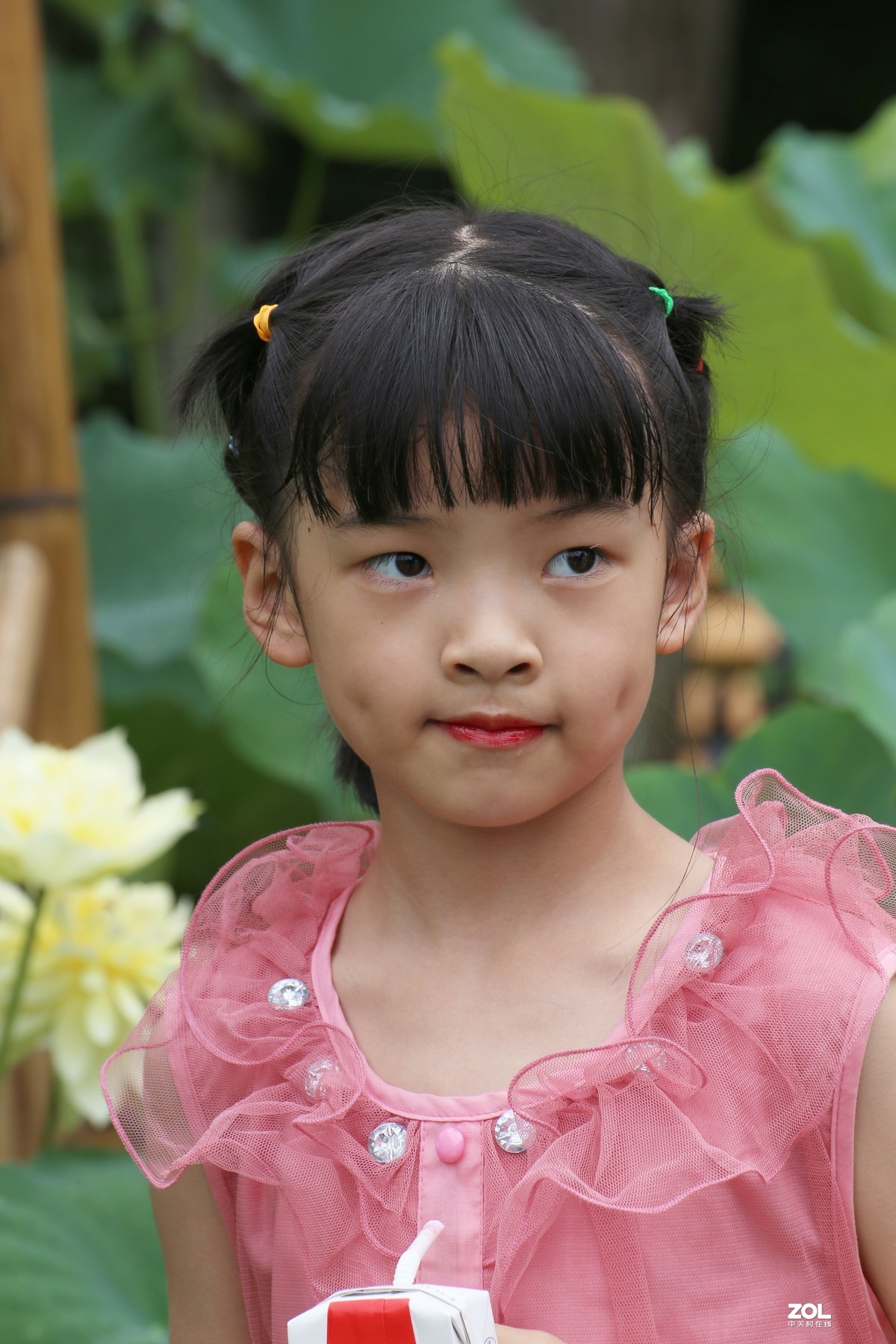 赏荷的小女孩-中关村在线摄影论坛