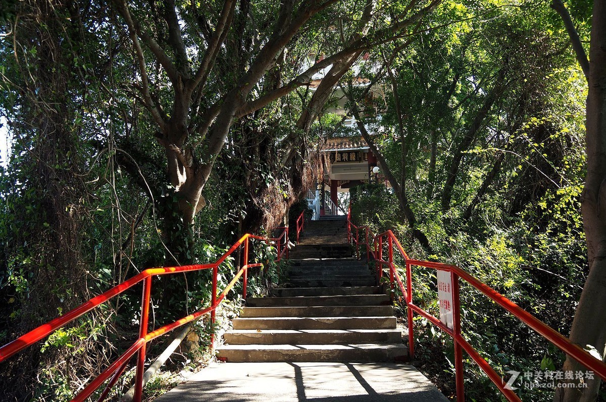 中山小榄镇——龙山公园（续）