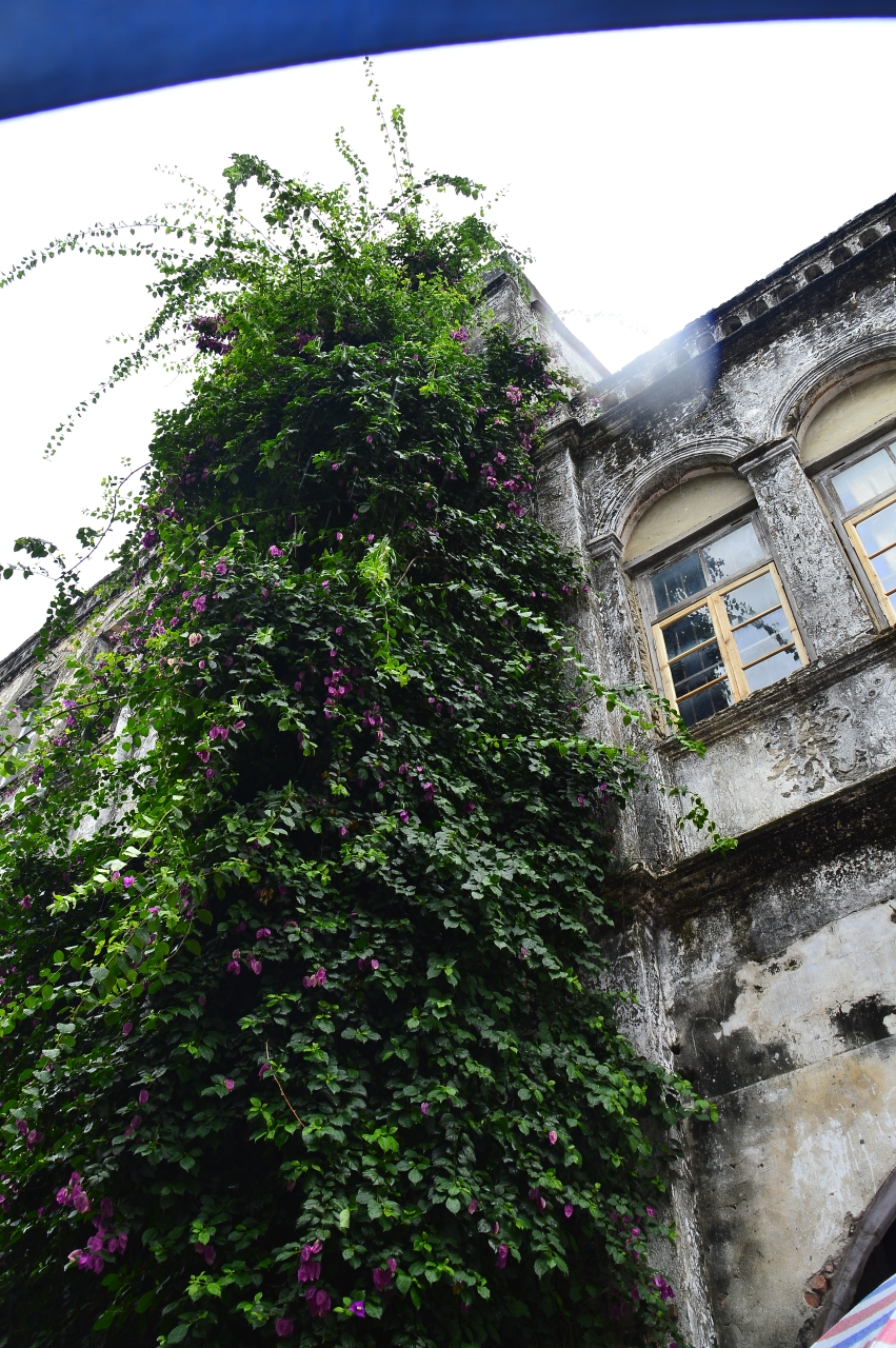 北海杂拍—诡异直出