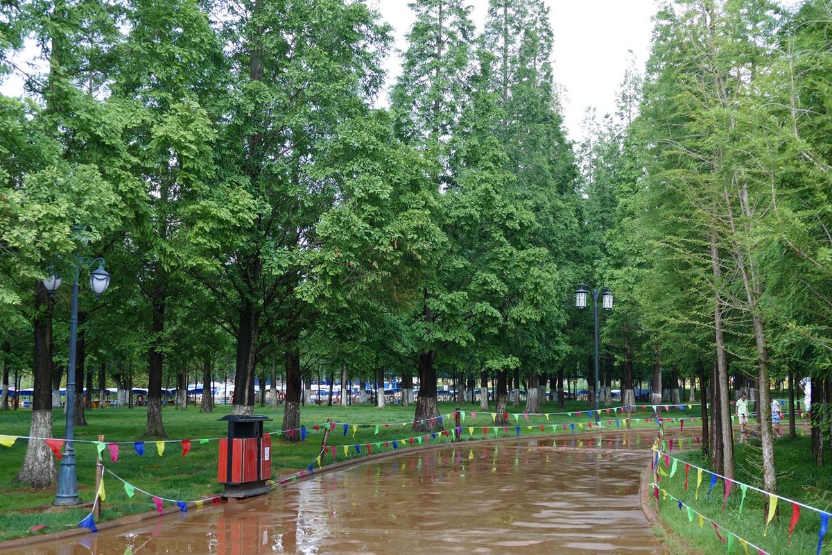 “大观”小景十二张