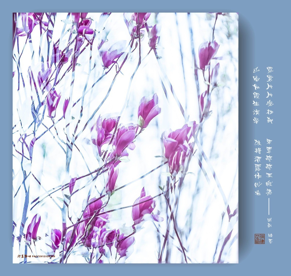 霓裳片片晚妆新，束素亭亭玉殿春。  已向丹霞生浅晕，故将清露作芳尘。——此片摄于津南小区