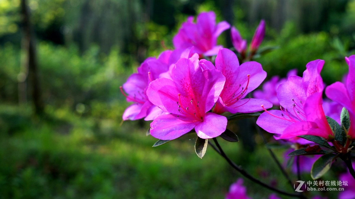 一直在学拍中请指教