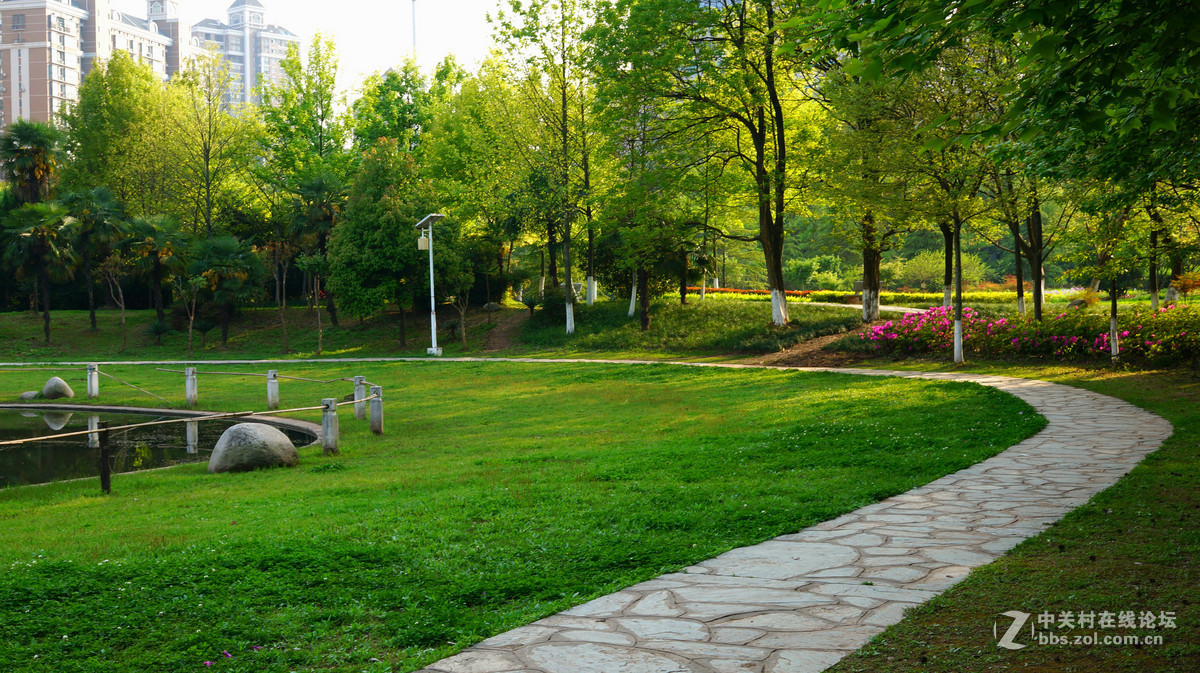 一直在学拍中请指教