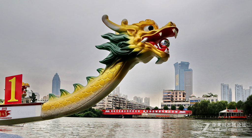 温州龙舟别样情