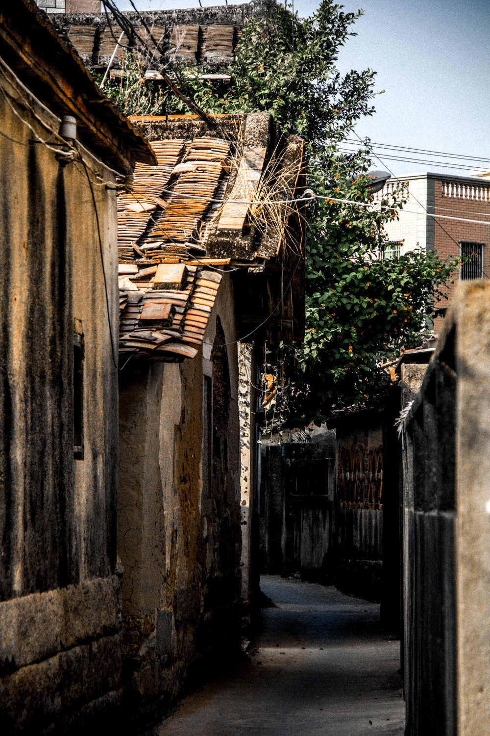 老房子-中关村在线摄影论坛