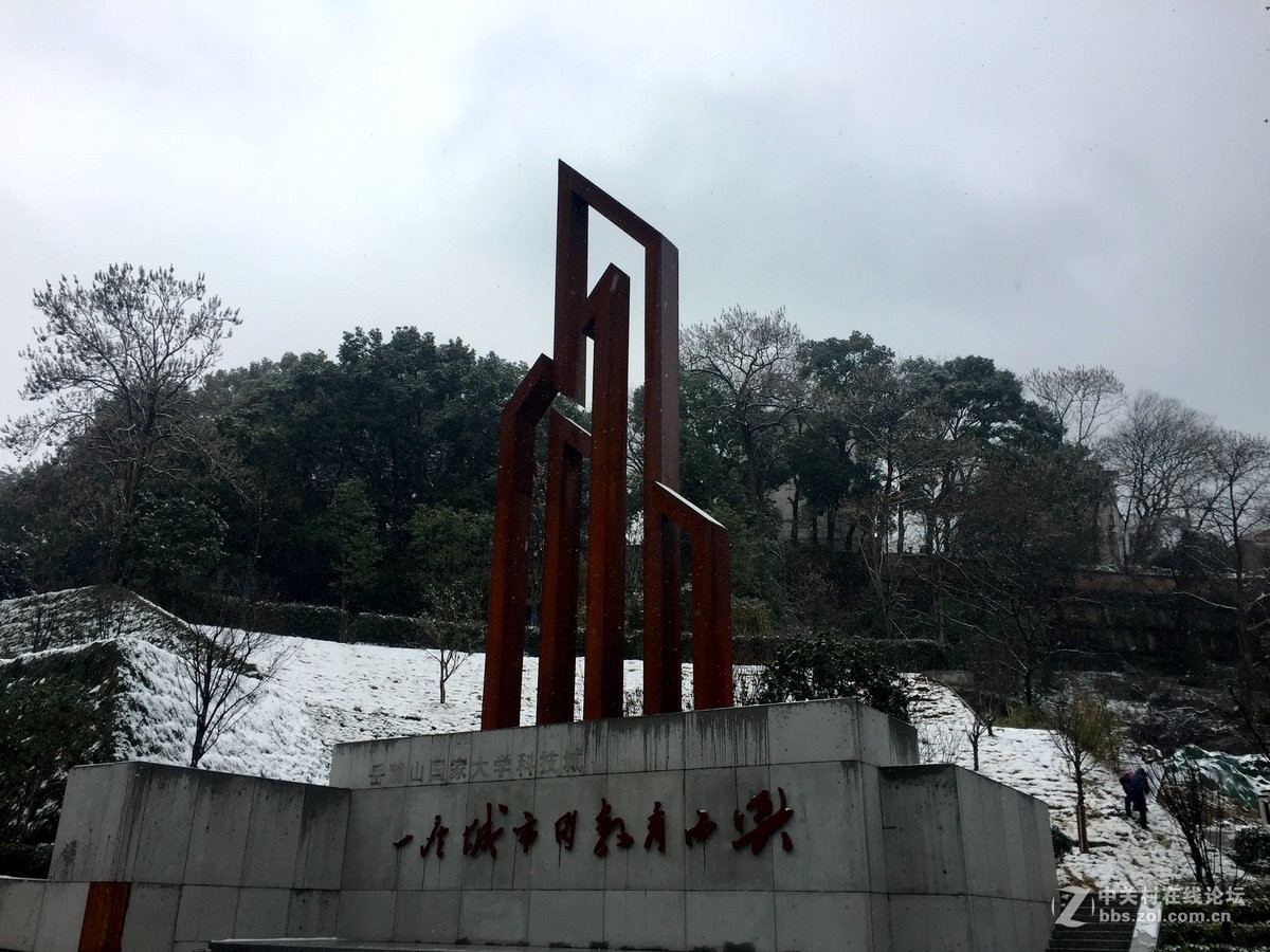 雪中登麓山（二）