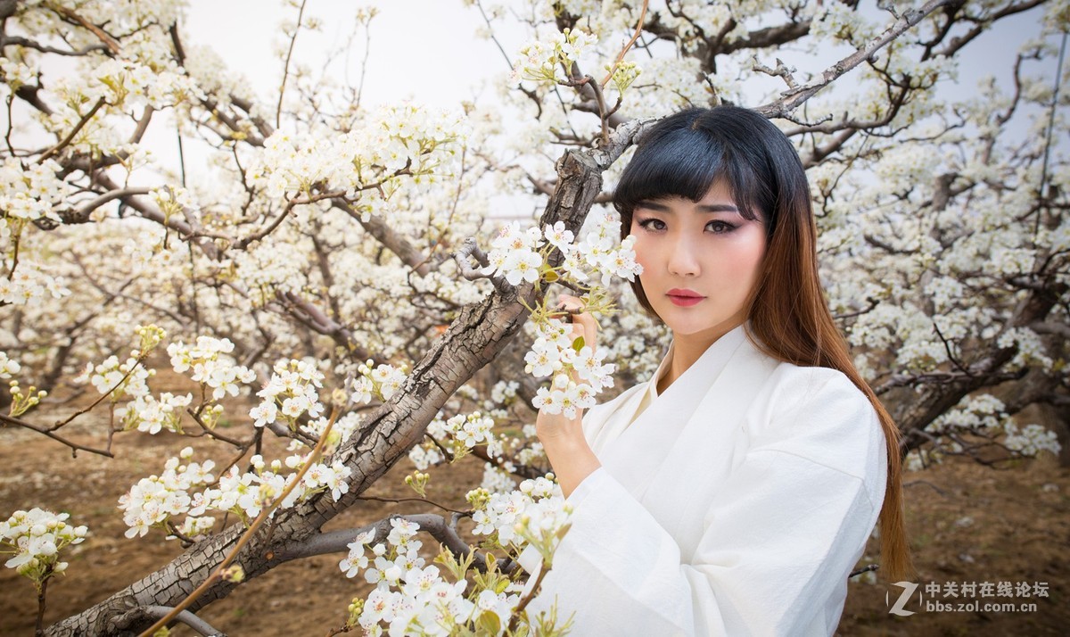 【半路映像】梨园香雪   --5d3＋适马35mm 1.4人像