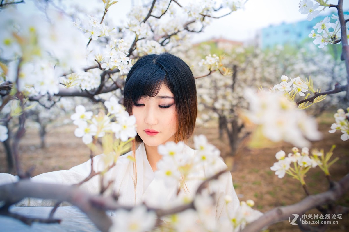 【半路映像】梨园香雪   --5d3＋适马35mm 1.4人像