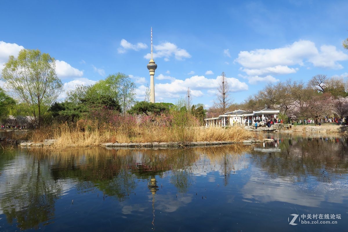 玉淵潭公園一