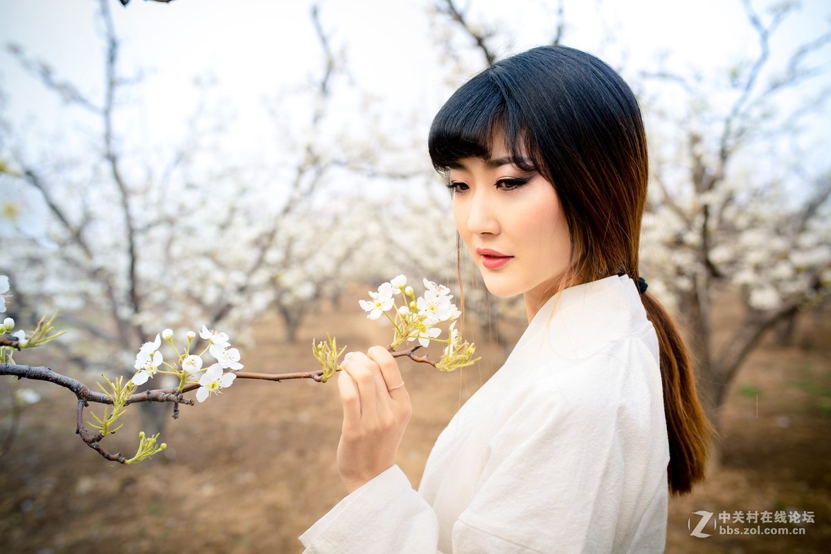 【半路】梨园香雪   5d3＋ 适马35人像
