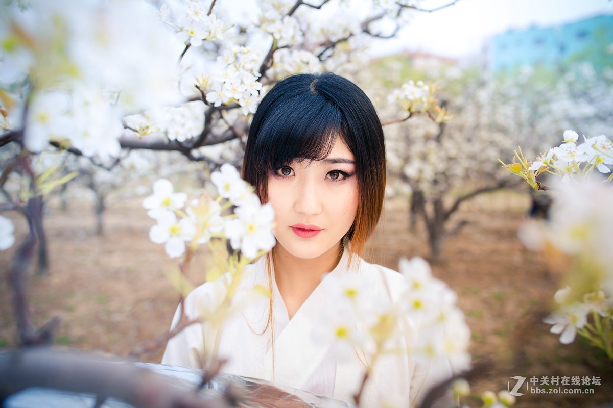 【半路】梨园香雪   5d3＋ 适马35人像