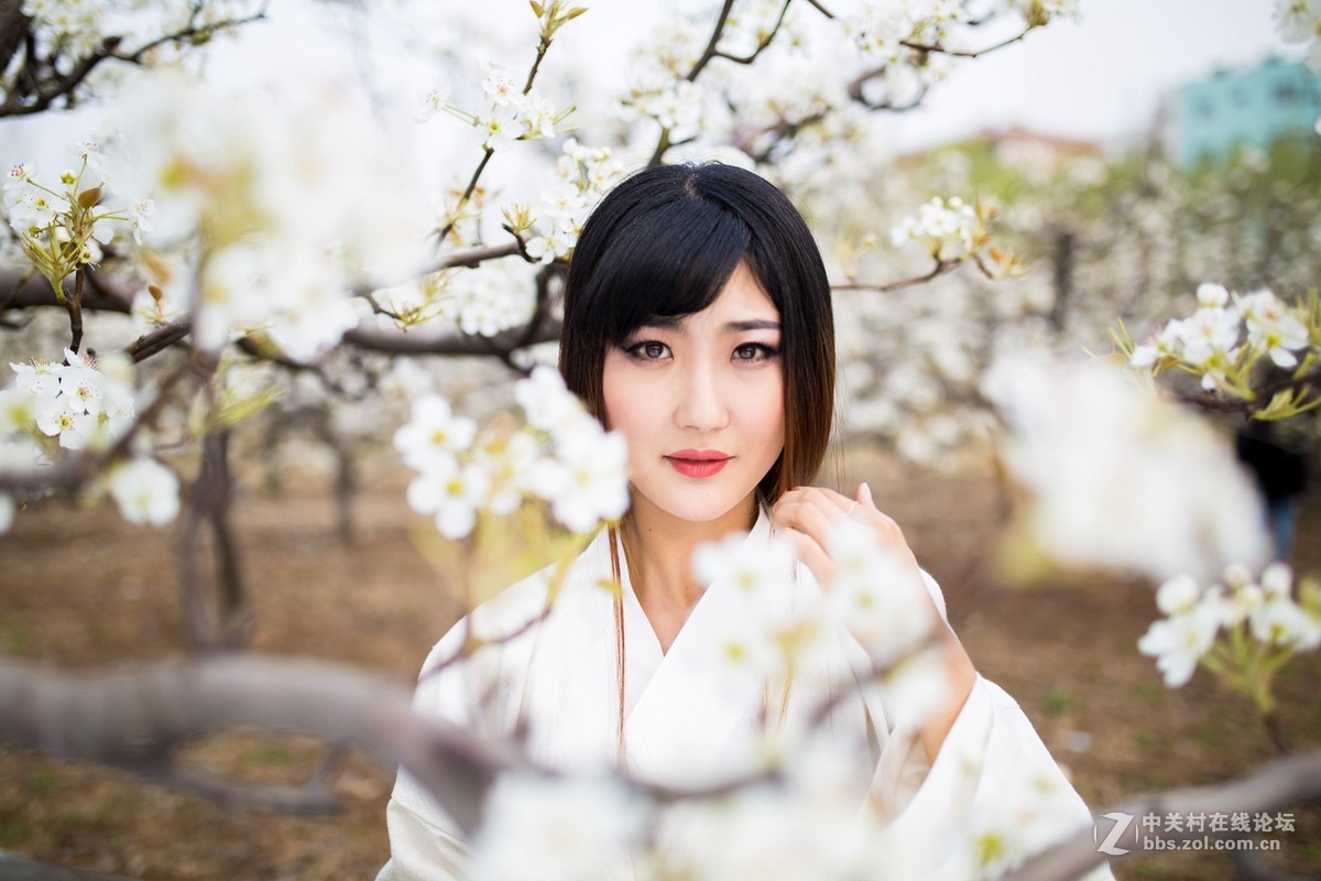 【半路】梨园香雪   5d3＋ 适马35人像