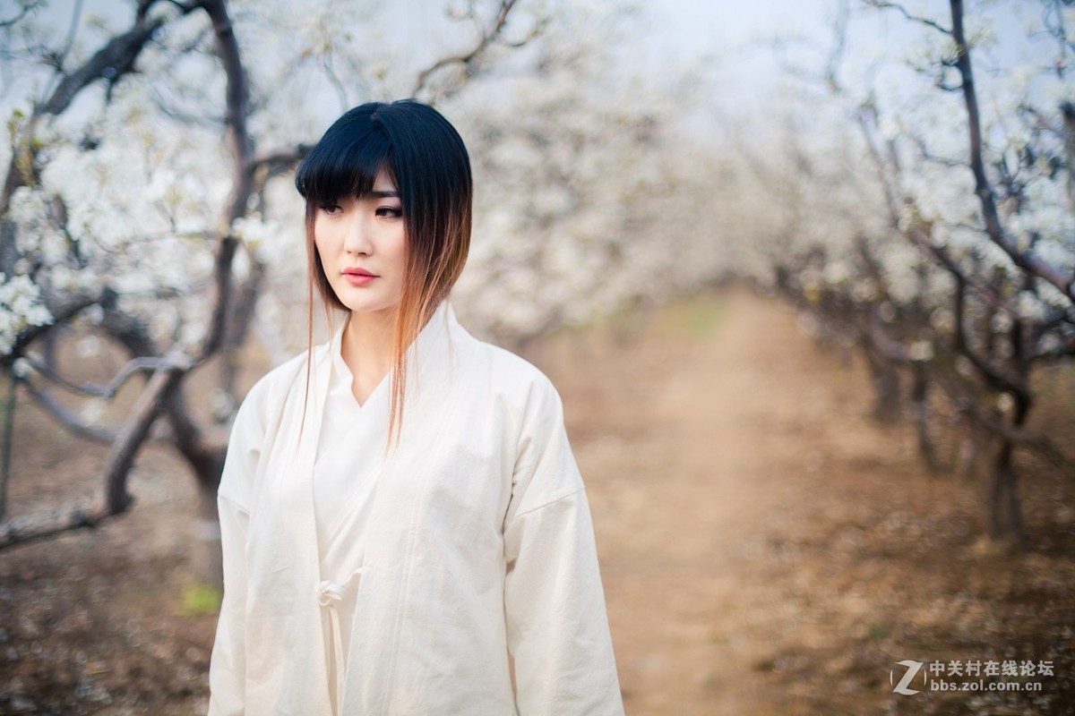 【半路】梨园香雪   5d3＋ 适马35人像