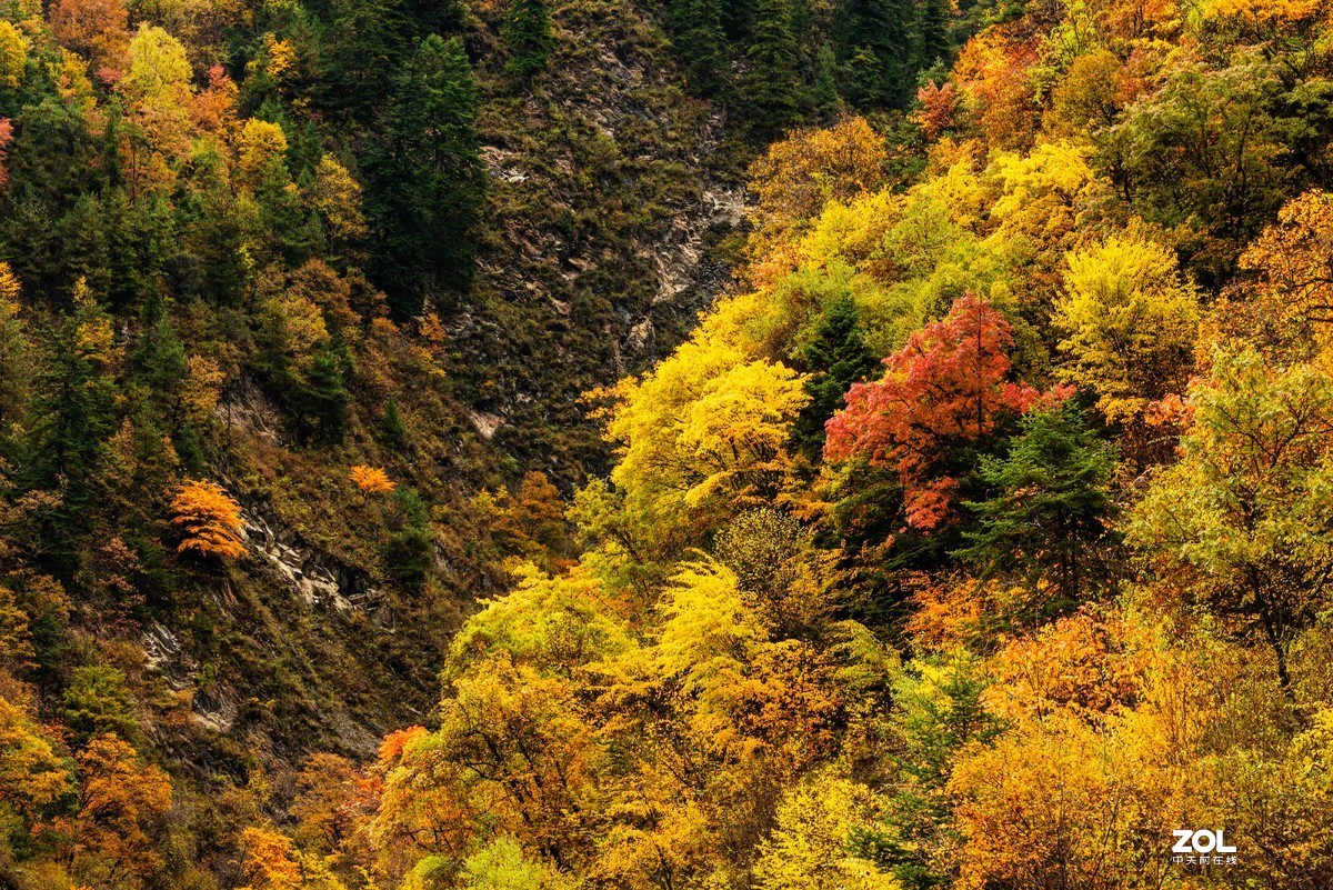 金秋，漫步川西高原