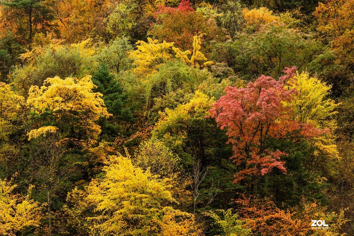金秋，漫步川西高原