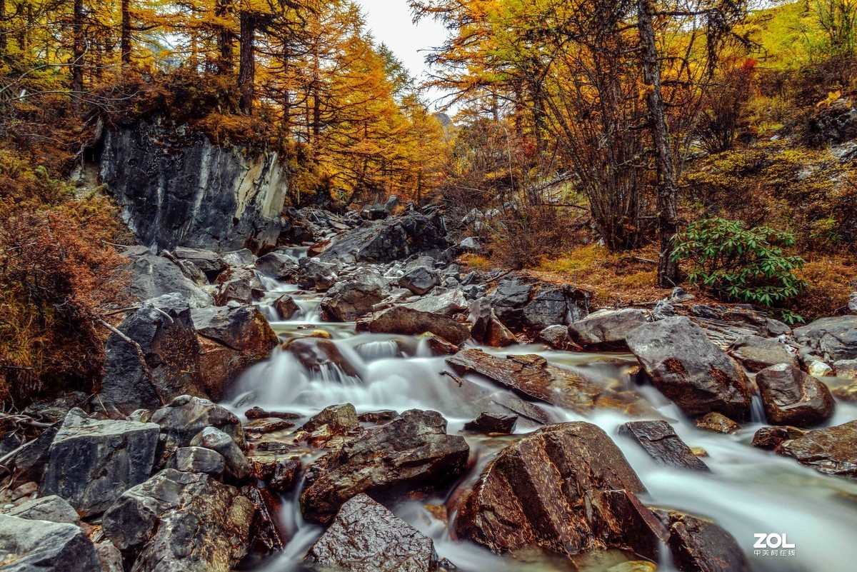 金秋，漫步川西高原