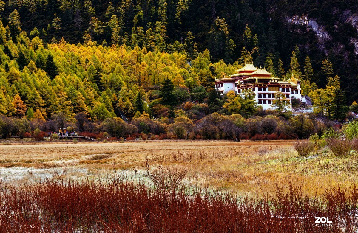 金秋，漫步川西高原