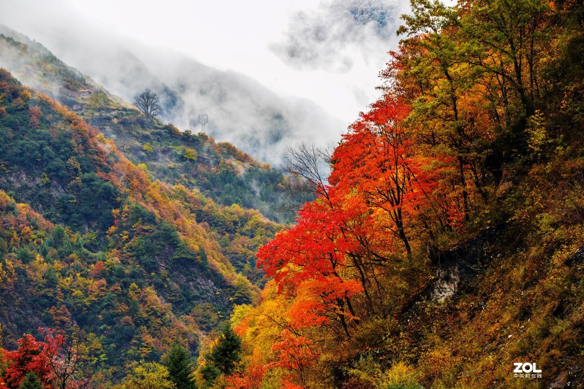 金秋，漫步川西高原