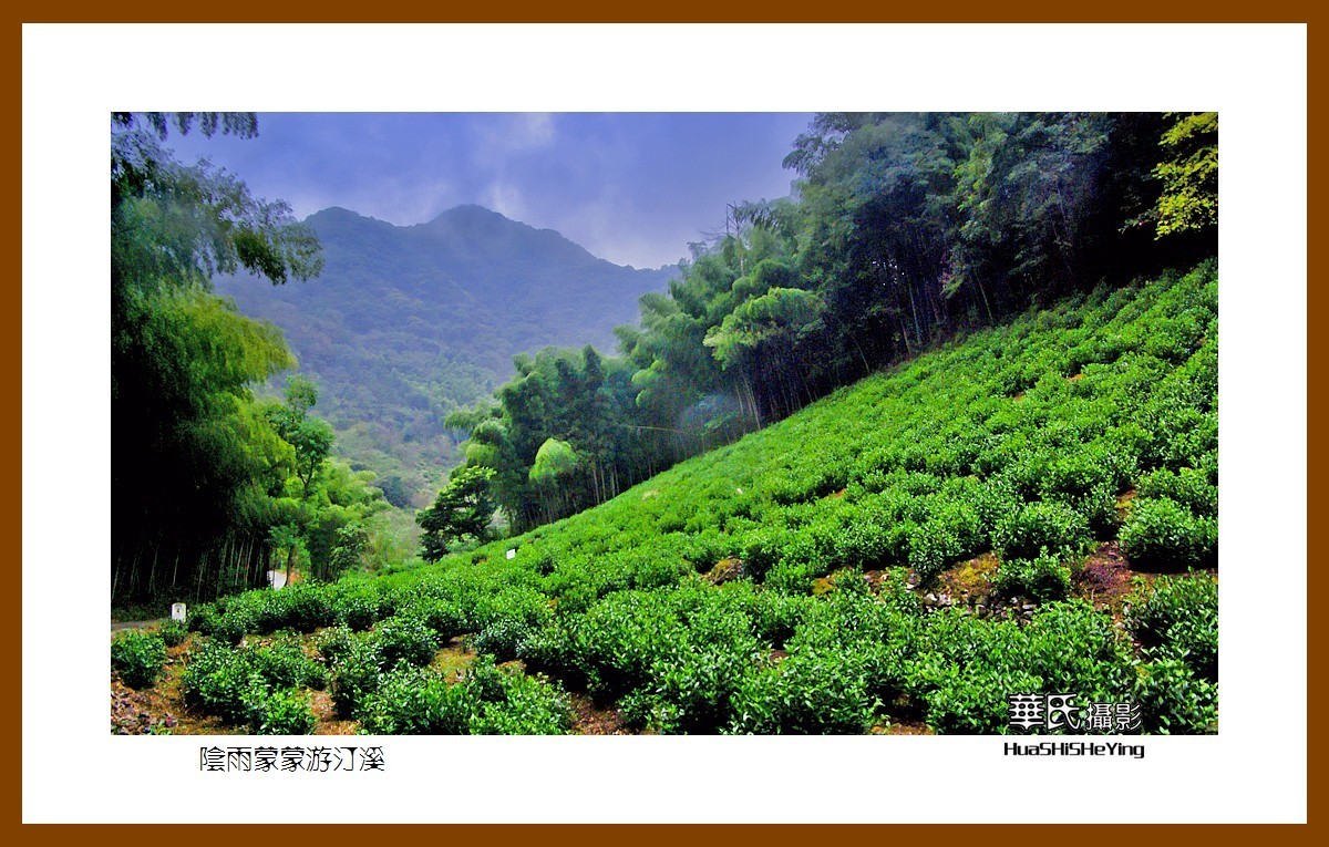 一路向南145阴雨蒙蒙游汀溪安徽省宣城市泾县水墨汀溪景区