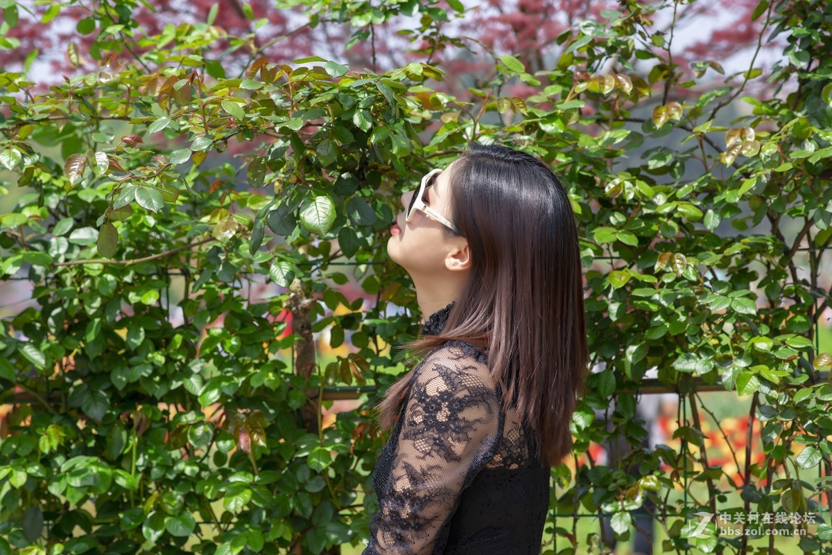 挽着爱人之手，漫步樱花树下，共赏花团锦簇，何等浪漫！