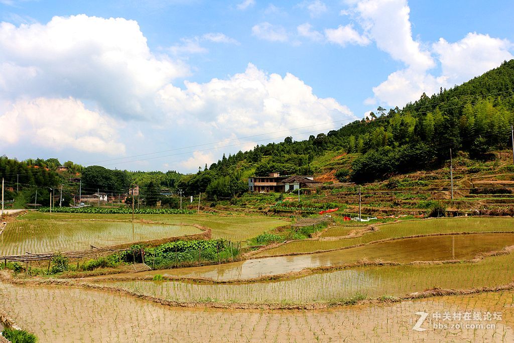 乡村田野也很美