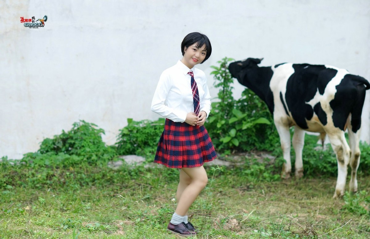 【奶牛场日记】---淑雯