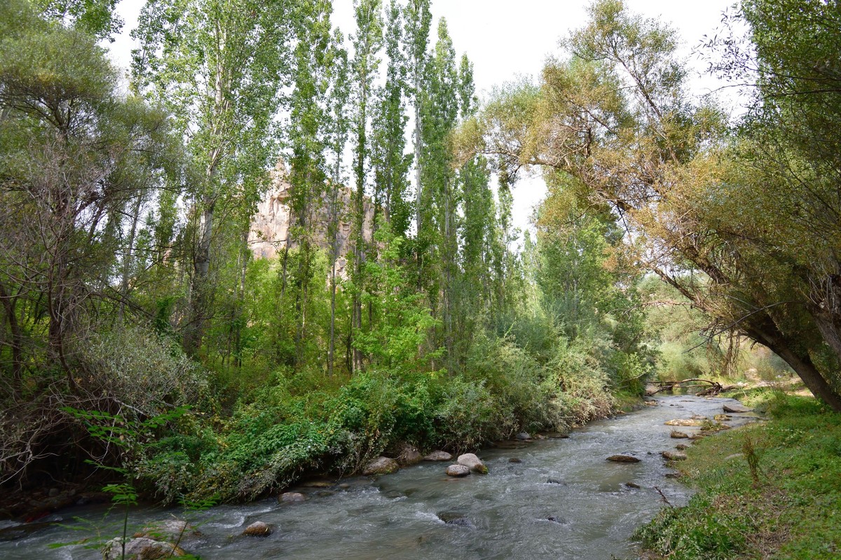 回顾图丽12-28（一）