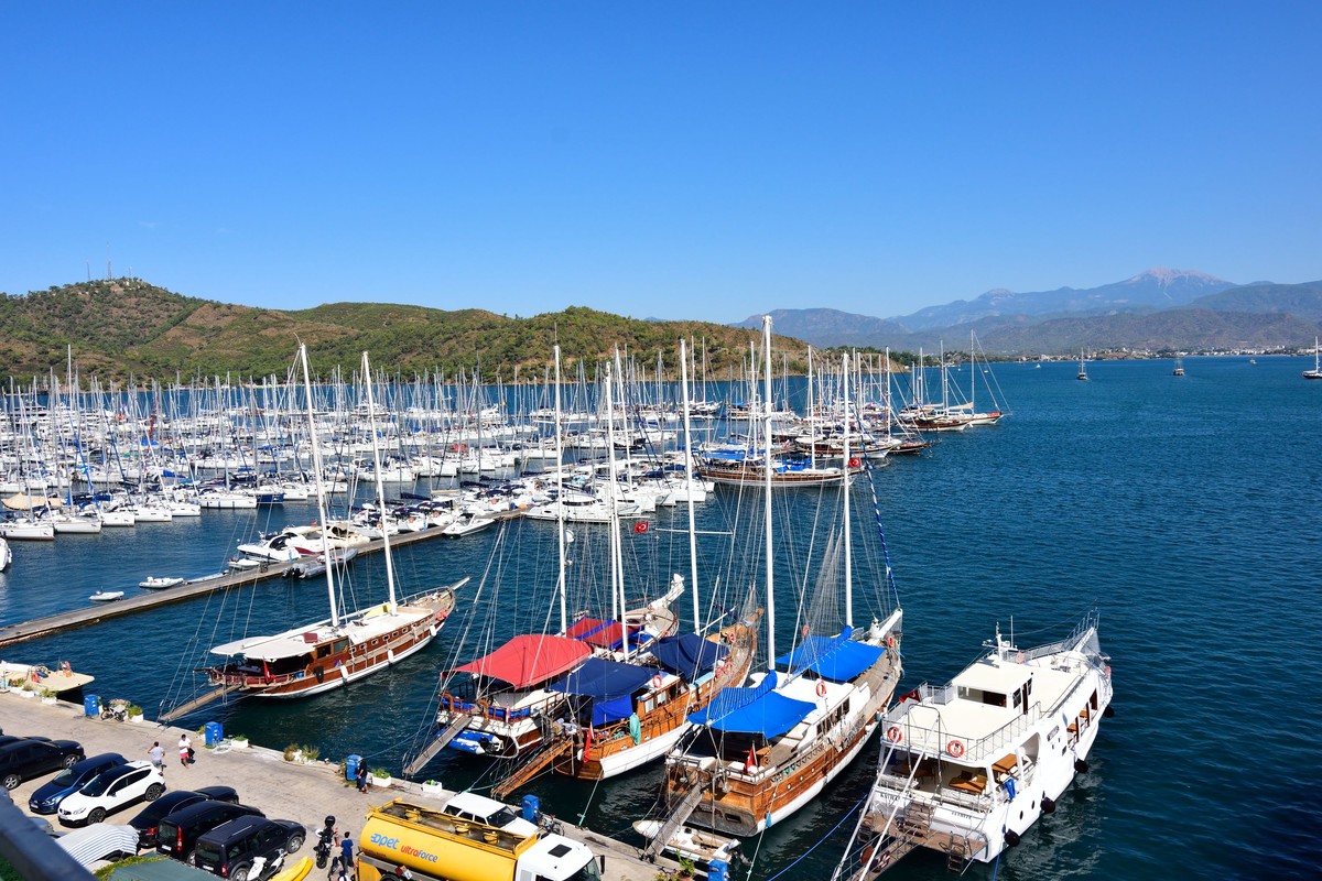 回顾图丽12-28（一）