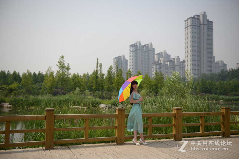 学生妹--白桦林