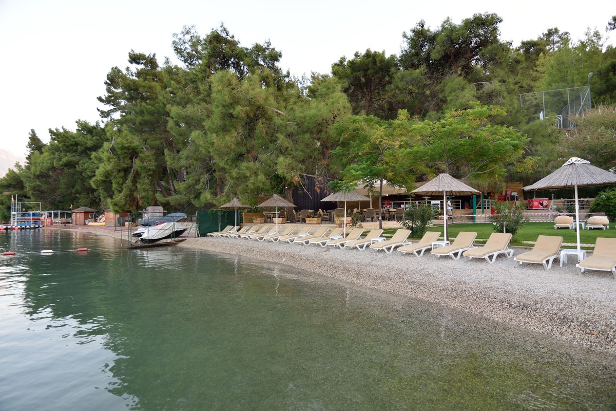 回顾图丽12-28（一）