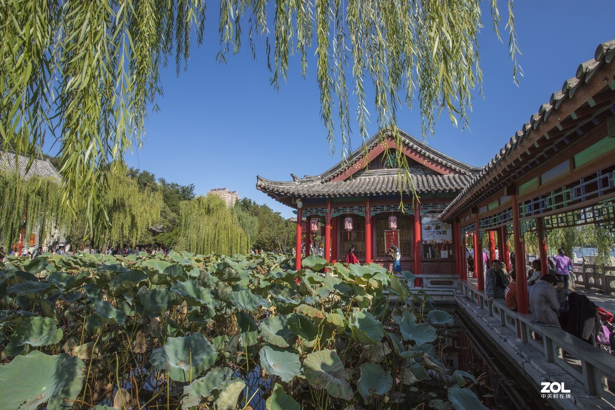 #大摄影佳# 大明湖