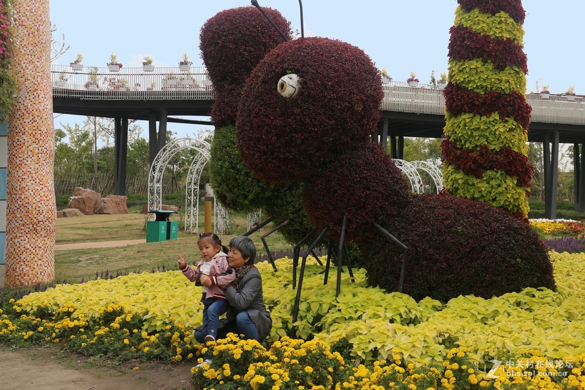 上海浦江郊野公园