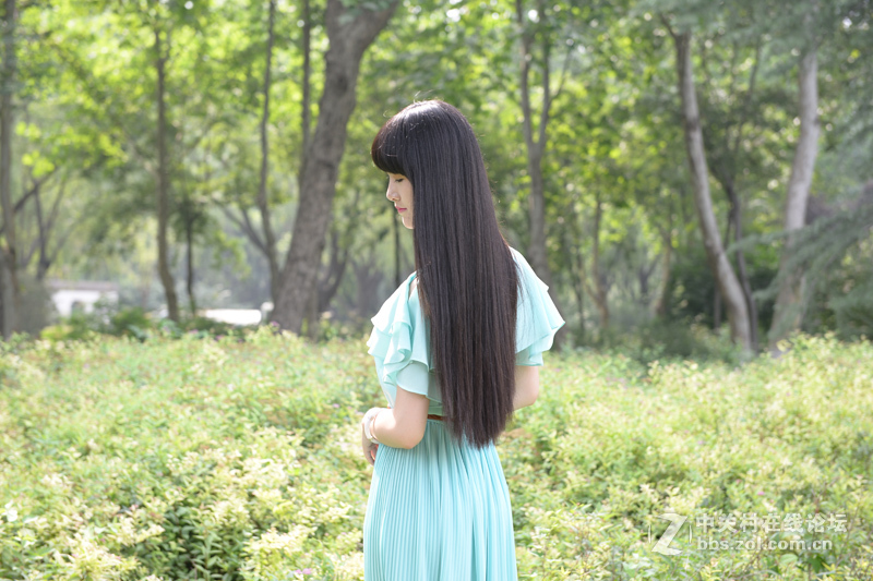 学生妹--白桦林