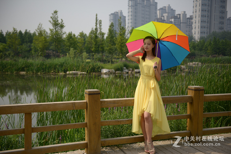 学生妹--白桦林