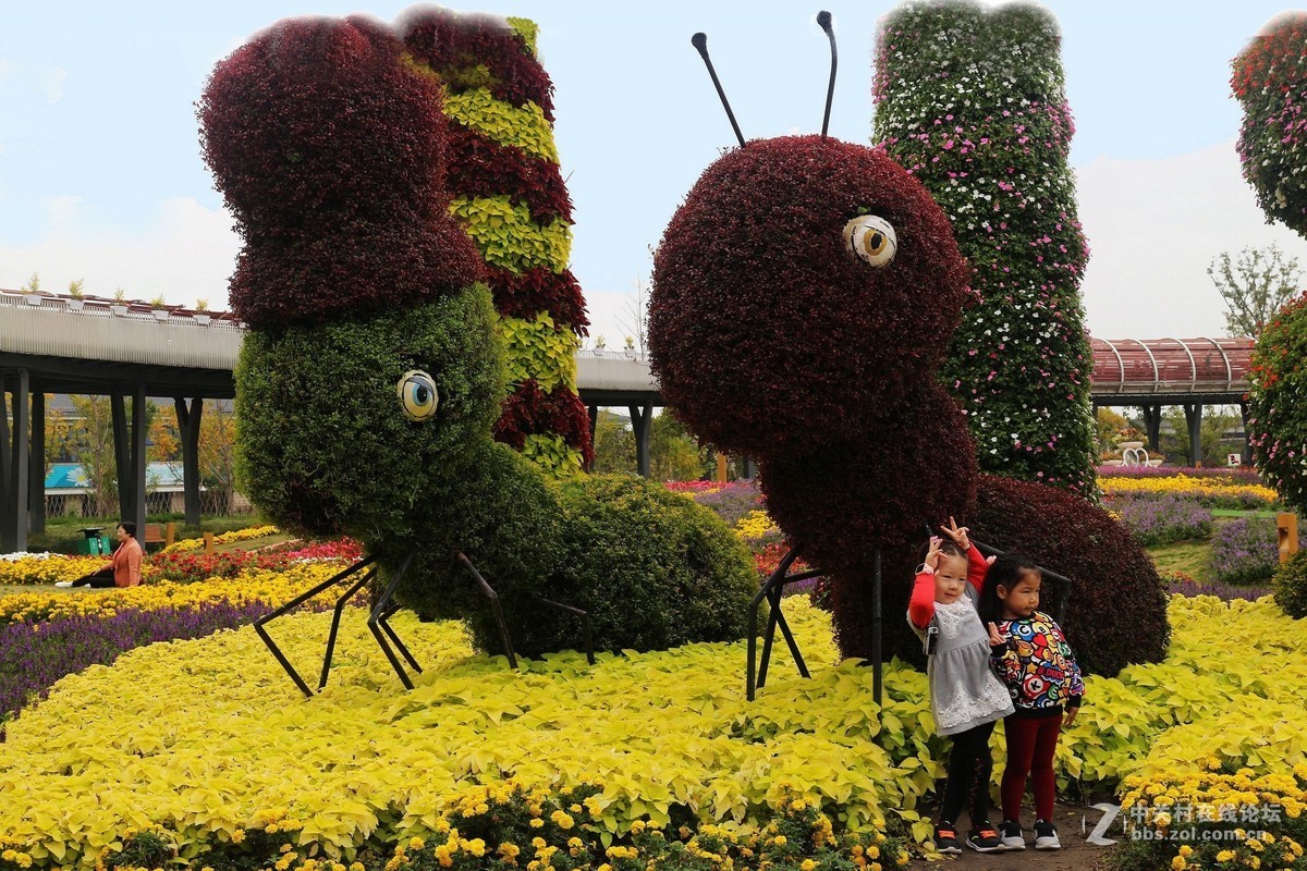 上海浦江郊野公园