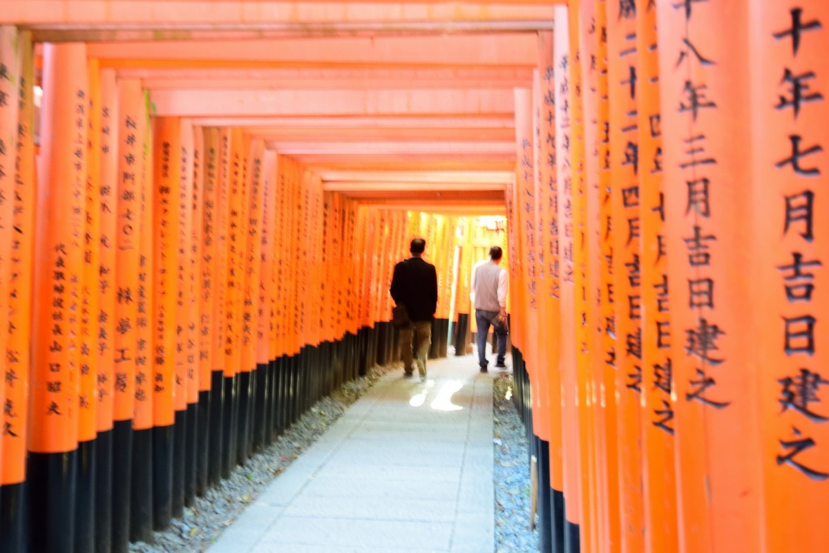 回顾图丽12-28（二）