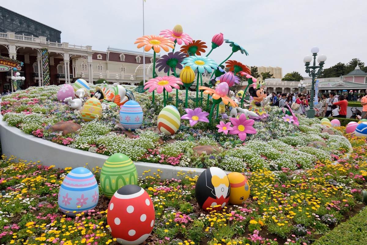 回顾图丽12-28（二）