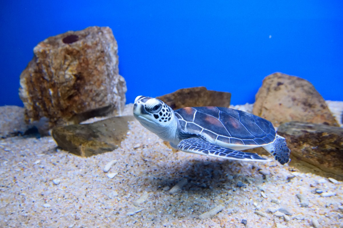 回顾图丽12-28（二）