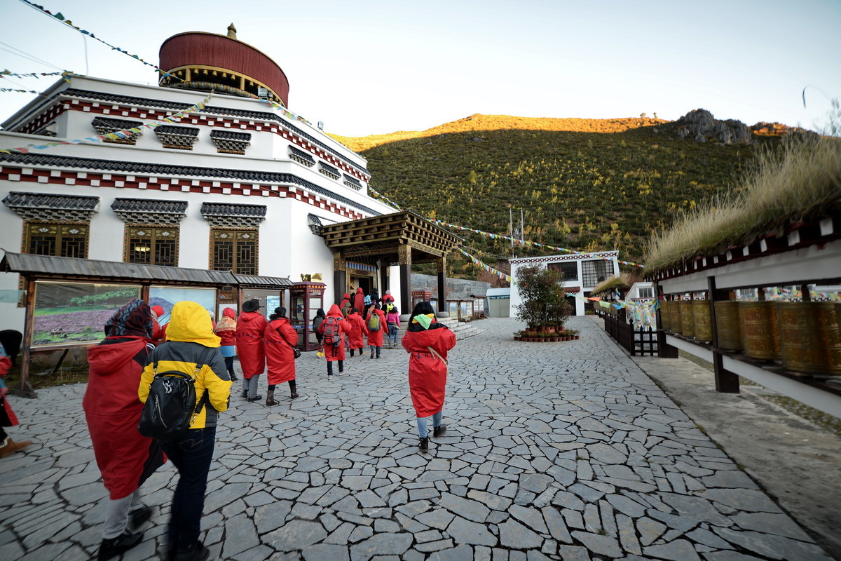 威摄（三阳）AE 14 2.8 光线较好时拍片