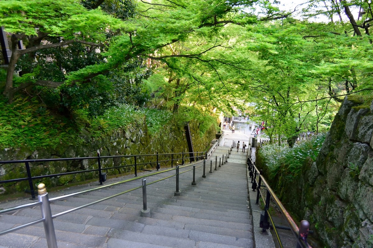 回顾图丽12-28（二）