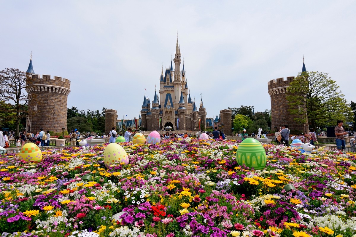 回顾图丽12-28（二）