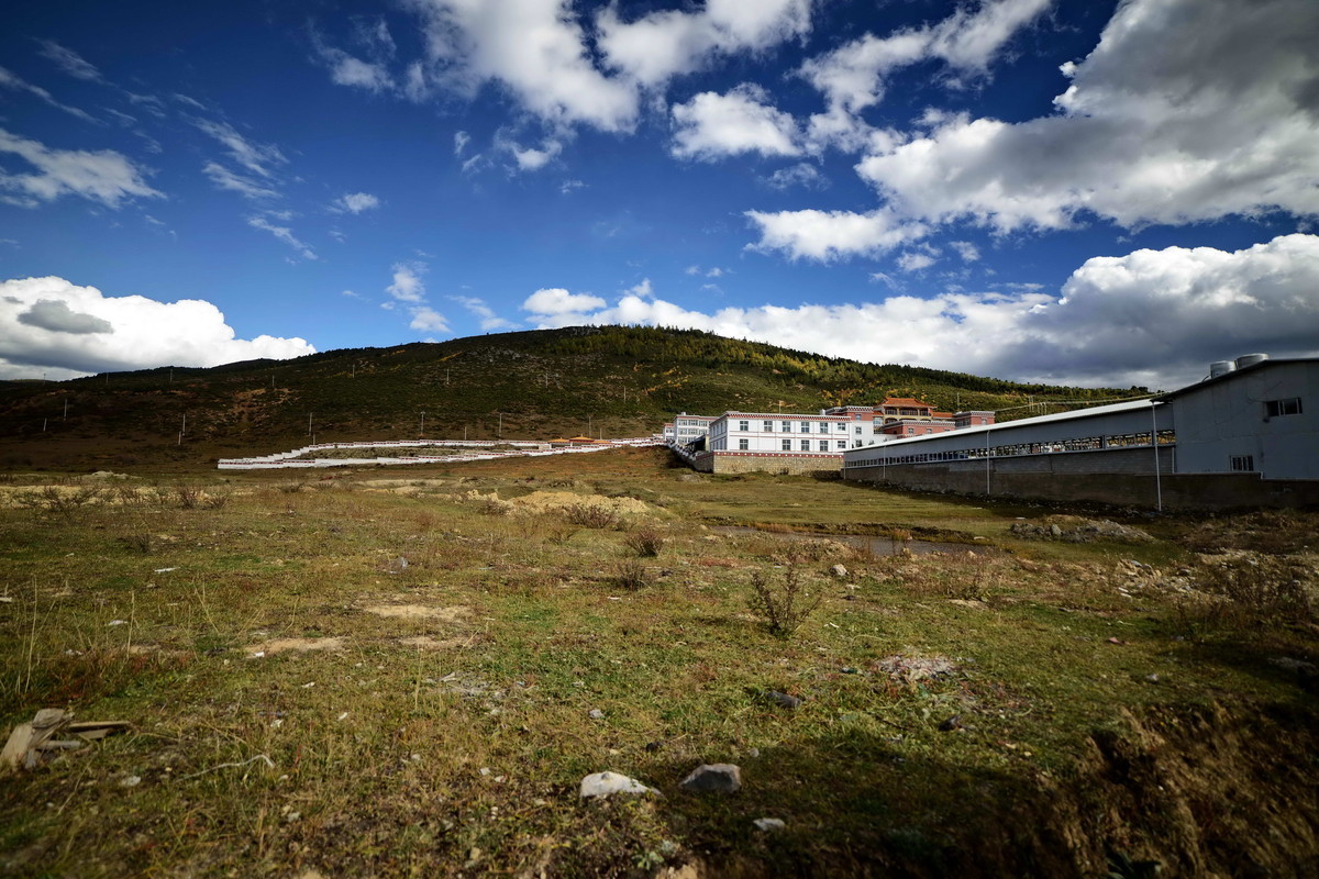 威摄（三阳）AE 14 2.8 光线较好时拍片