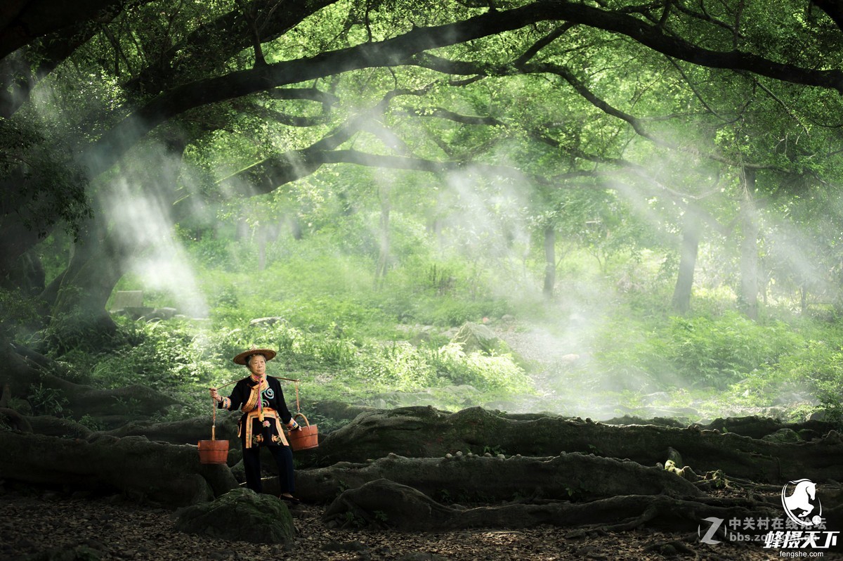 蜂摄天下——福建霞浦 杨家溪榕枫公园