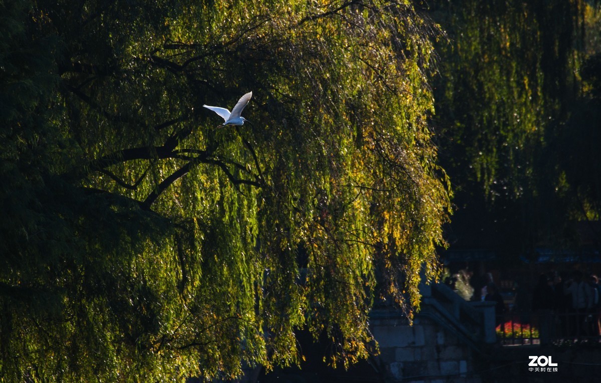 现在还有人用k200d拍照吗？