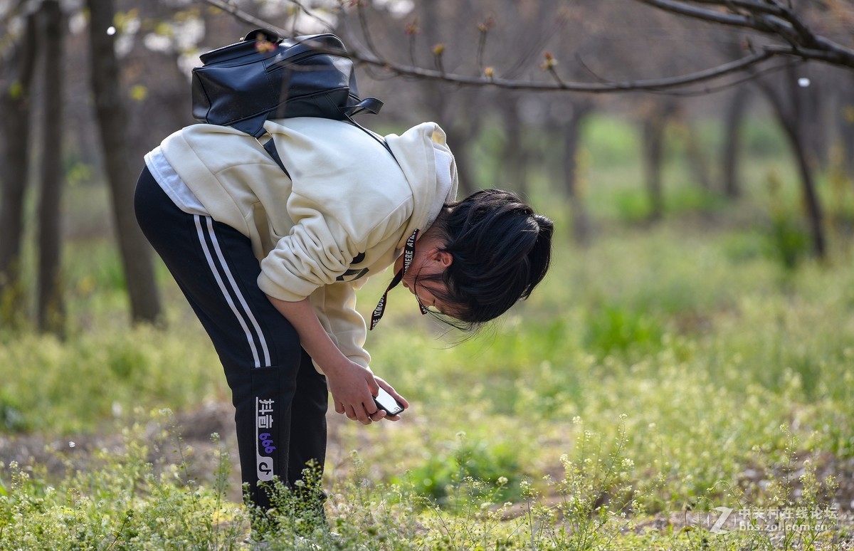 几幅小景初试 尼康300F4 VR