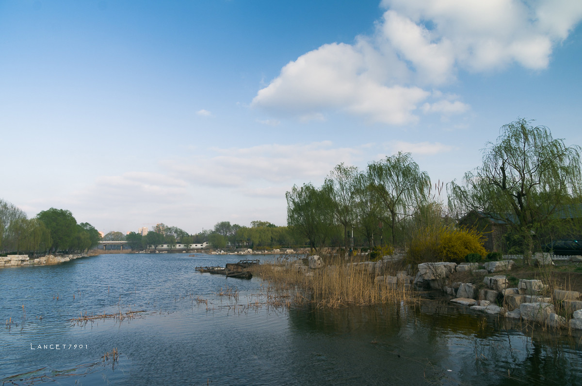 滨州蒲湖风景