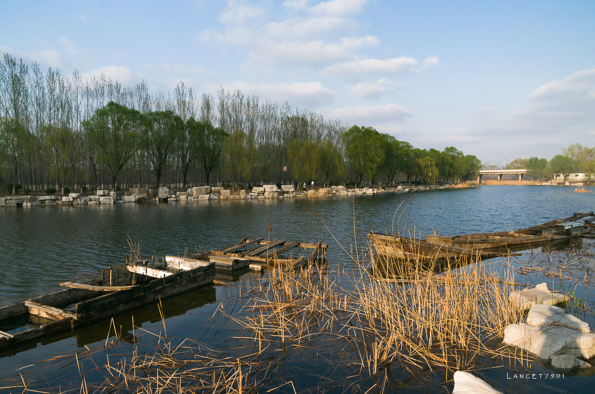 濱州蒲湖風景