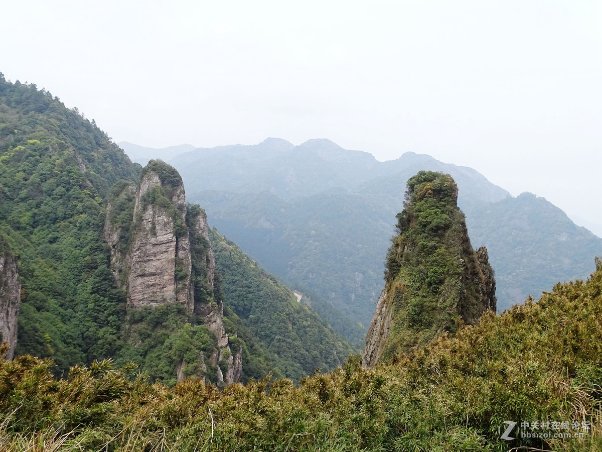 春——新手试拍，求指正