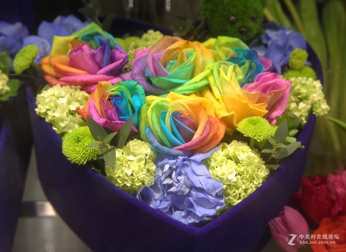 应光影寻梦老师邀请携一组拙作彩虹玫瑰花拜访学习