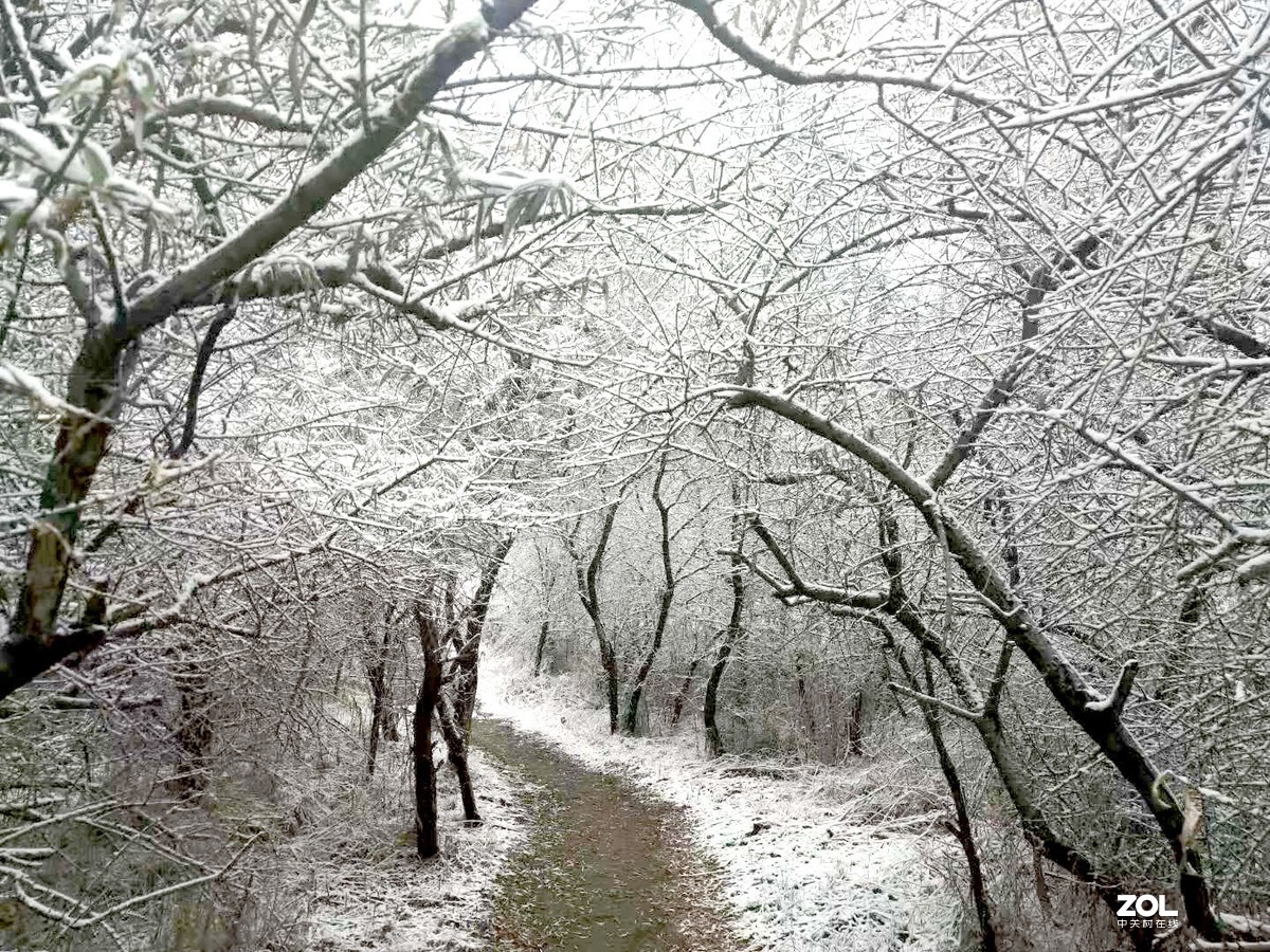 冬季的京北草原大汗行宫，更加英姿飒爽
